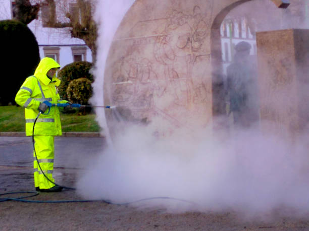 Best Best Pressure Washing Companies  in Springfield, SD